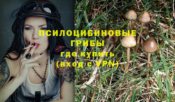 мескалин Беломорск