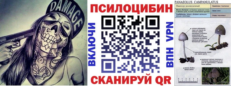 Псилоцибиновые грибы GOLDEN TEACHER  купить наркотик  blacksprut зеркало  Яхрома 